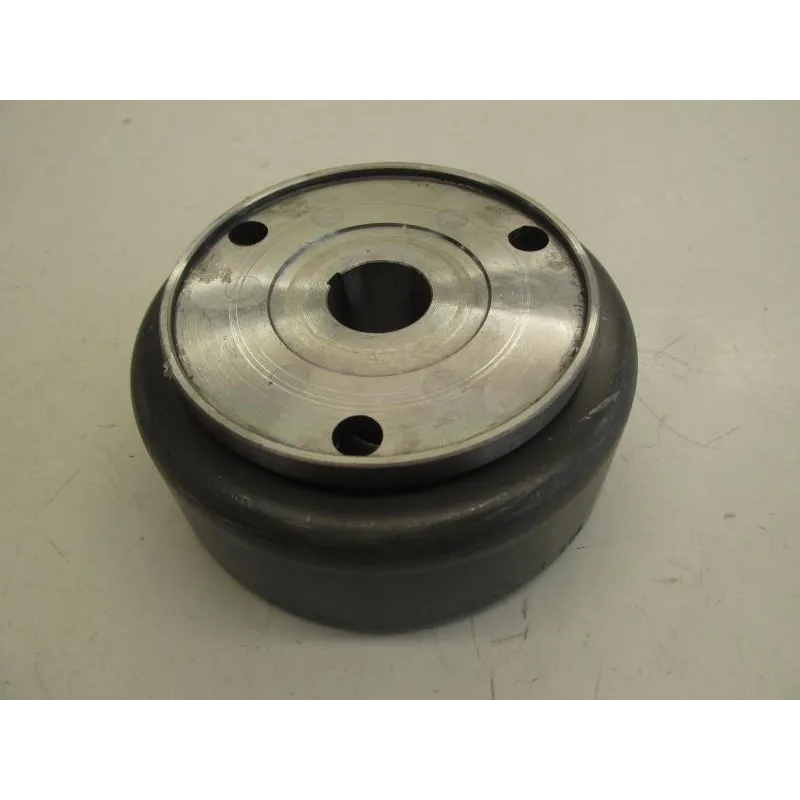 Alternateur MIKILON FRV 250 2010