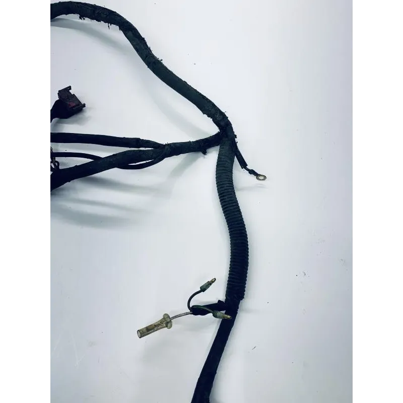Faisceau electrique HONDA CH 125 1988-1996 SPACY