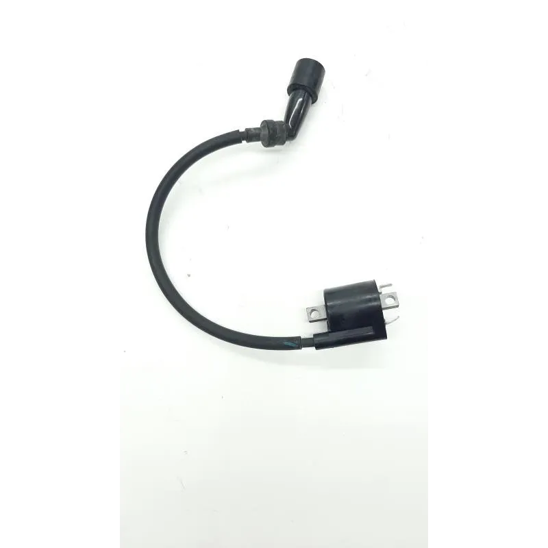 Bobine allumage YAMAHA CZD 300 2017-2019 XMAX