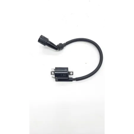 Bobine allumage YAMAHA CZD 300 2017-2019 XMAX