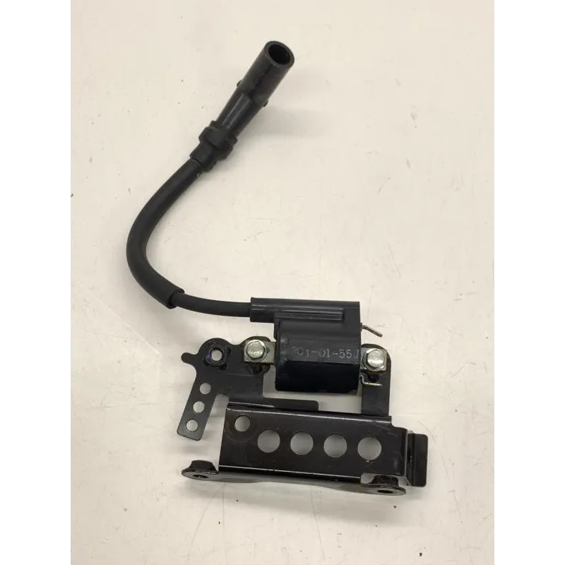 Bobine allumage YAMAHA GPD 125 2015-2016 NMAX