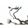 Faisceau electrique KAWASAKI Z 900 2018-2019 Faisceau electrique KAWASAKI Z 900 2018-2019