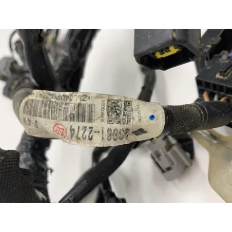 Faisceau electrique KAWASAKI Z 900 2018-2019