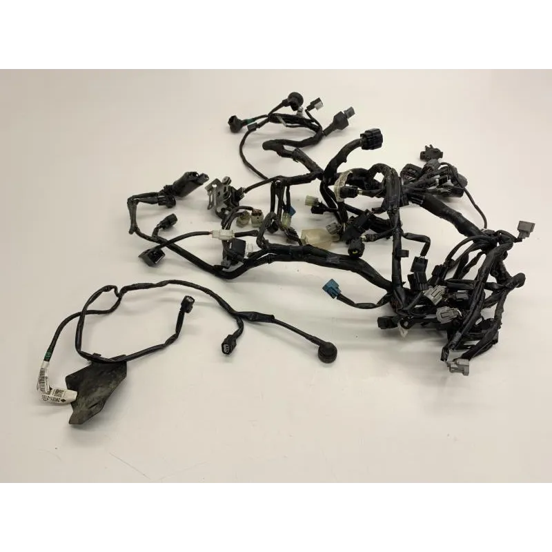 Faisceau electrique KAWASAKI Z 900 2018-2019