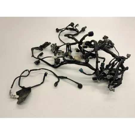 Faisceau electrique KAWASAKI Z 900 2018-2019