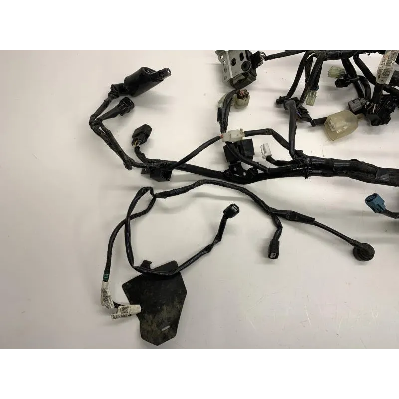 Faisceau electrique KAWASAKI Z 900 2018-2019
