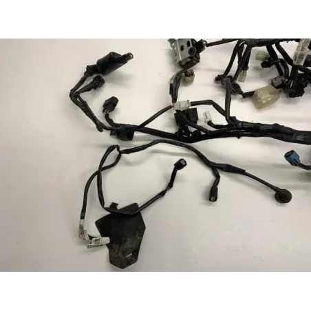 Faisceau electrique KAWASAKI Z 900 2018-2019