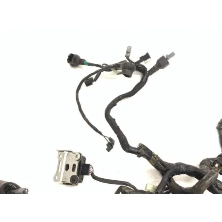 Faisceau electrique KAWASAKI Z 900 2018-2019