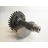 Arbre equilibrage YAMAHA TT-R 250 2000-2005