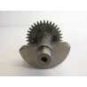 Arbre equilibrage YAMAHA TT-R 250 2000-2005