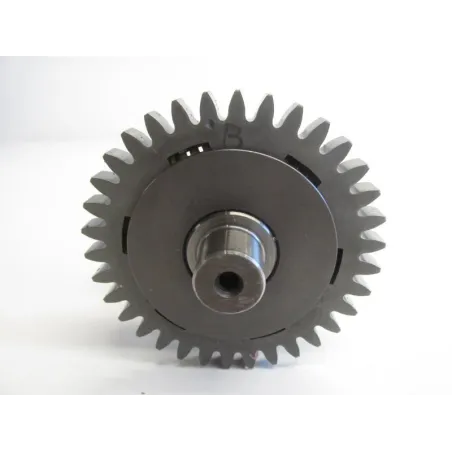 Arbre equilibrage YAMAHA TT-R 250 2000-2005