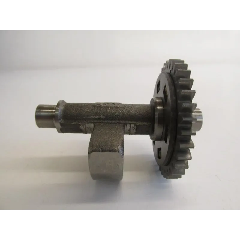 Arbre equilibrage YAMAHA TT-R 250 2000-2005