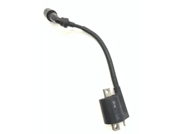 Bobine allumage YAMAHA YP 125 2003-2006 MAJESTY