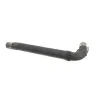 Collecteur arriere (echappement) TRIUMPH BONNEVILLE 900 2016-2019 T100 BLACK Collecteur arriere (echappement) TRIUMPH BONNEVILLE 900 2016-2019 T100 BLACK