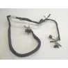 Faisceau electrique HONDA TLR 200 1984-1990 Faisceau electrique HONDA TLR 200 1984-1990