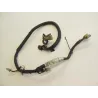 Faisceau electrique HONDA TLR 200 1984-1990 Faisceau electrique HONDA TLR 200 1984-1990