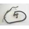 Faisceau electrique HONDA TLR 200 1984-1990 Faisceau electrique HONDA TLR 200 1984-1990