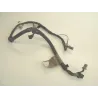 Faisceau electrique HONDA TLR 200 1984-1990 Faisceau electrique HONDA TLR 200 1984-1990