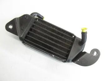 Radiateur huile BMW R 1200 C 1997-2004