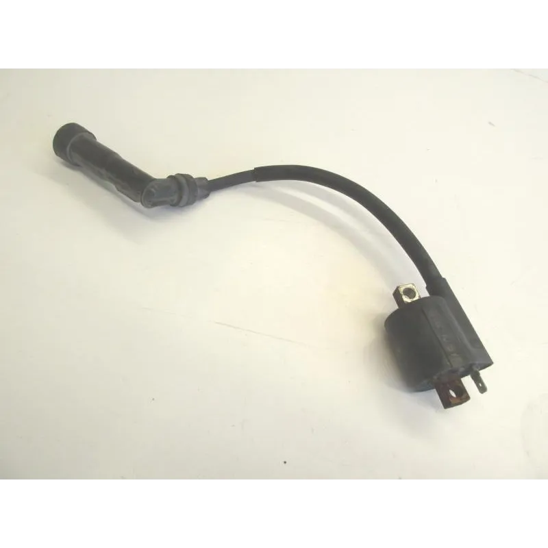 Bobine allumage YAMAHA YP 125 2003-2006 MAJESTY