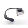 Bobine allumage YAMAHA YPR 125 2010-2013 XMAX ABS Bobine allumage YAMAHA YPR 125 2010-2013 XMAX ABS