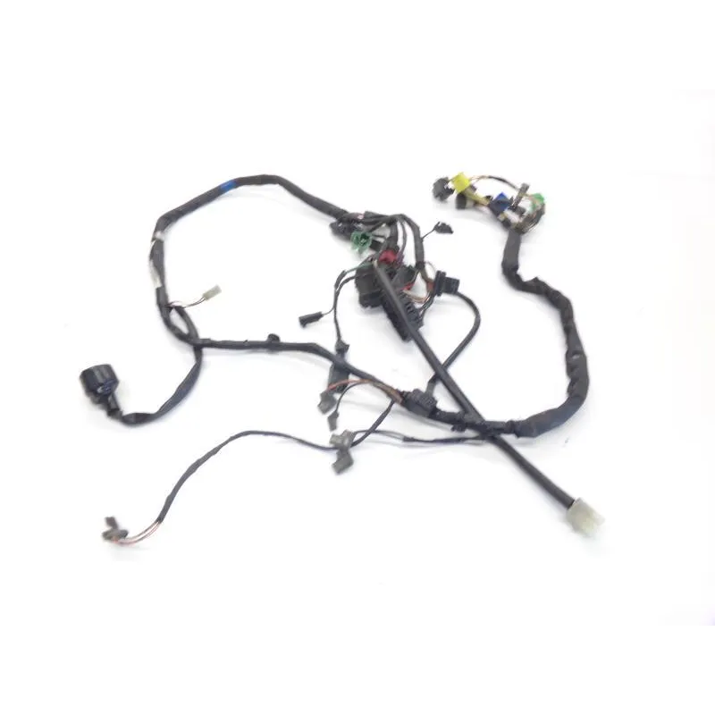 Faisceau electrique SUZUKI GS 500 E 2001-2002