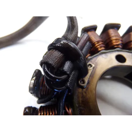 Stator alternateur SUZUKI GS 500 E 2001-2002