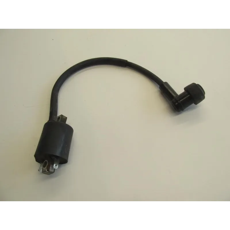 Bobine allumage YAMAHA YPR 125 2006-2009 XMAX