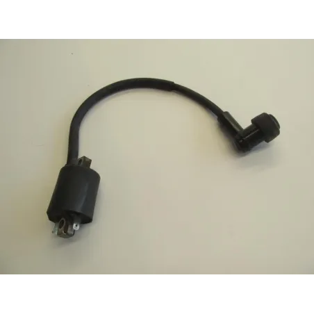 Bobine allumage YAMAHA YPR 125 2006-2009 XMAX