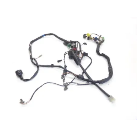 Faisceau electrique SUZUKI GS 500 E 2001-2002