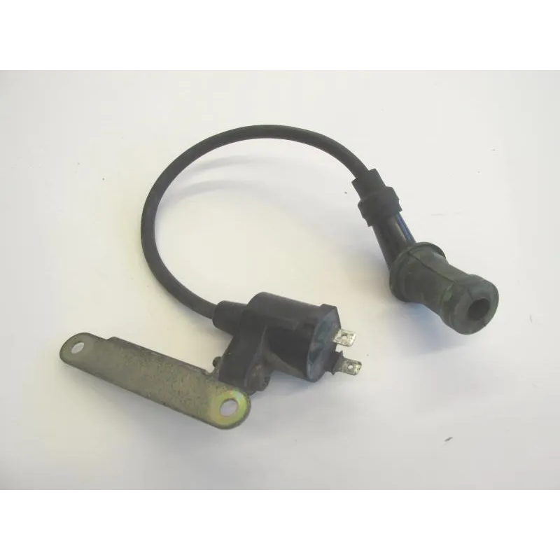 Bobine allumage PIAGGIO X9 125 2001-2002