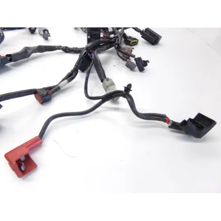 Faisceau electrique HONDA CB 500 F 2013-2015