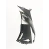 Cache flanc de carenage gauche KAWASAKI ZX6 R 600 2009-2013 NINJA Cache flanc de carenage gauche KAWASAKI ZX6 R 600 2009-2013 NINJA