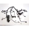 Faisceau electrique DUCATI DIAVEL 1200 2013-2014 STRADA