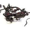 Faisceau electrique DUCATI DIAVEL 1200 2013-2014 STRADA