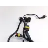 Faisceau electrique DUCATI DIAVEL 1200 2013-2014 STRADA