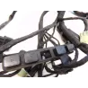 Faisceau electrique DUCATI DIAVEL 1200 2013-2014 STRADA