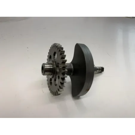 Arbre equilibrage KTM DUKE 690 R 2016-2017