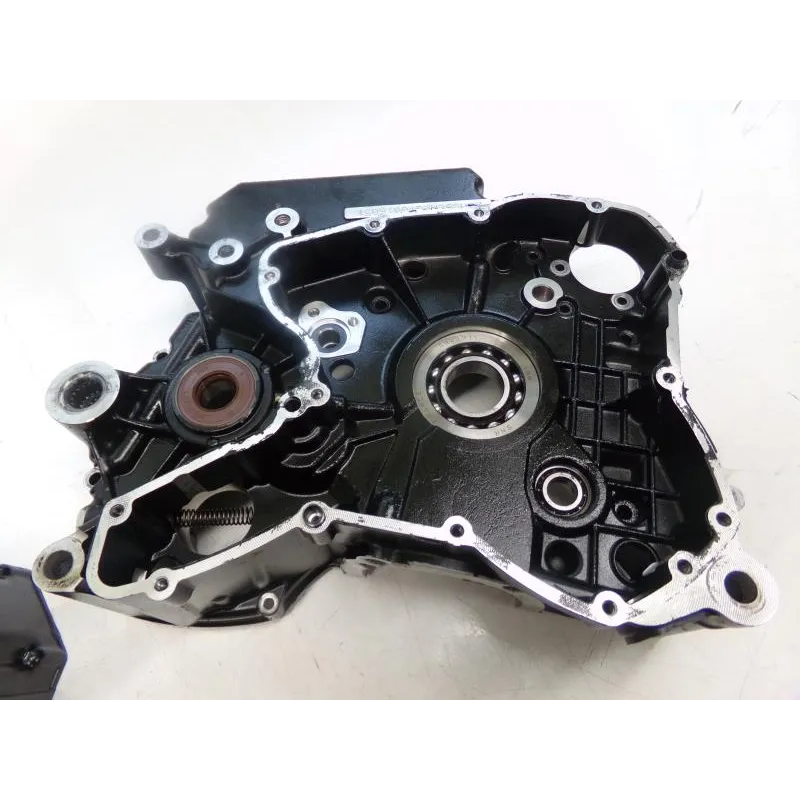 Carter moteur DUCATI SCRAMBLER 800 2019-2020 CAFE RACER