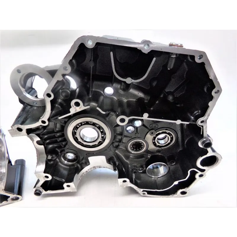 Carter moteur DUCATI SCRAMBLER 800 2019-2020 CAFE RACER