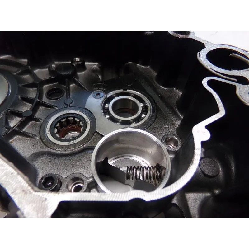 Carter moteur DUCATI SCRAMBLER 800 2019-2020 CAFE RACER