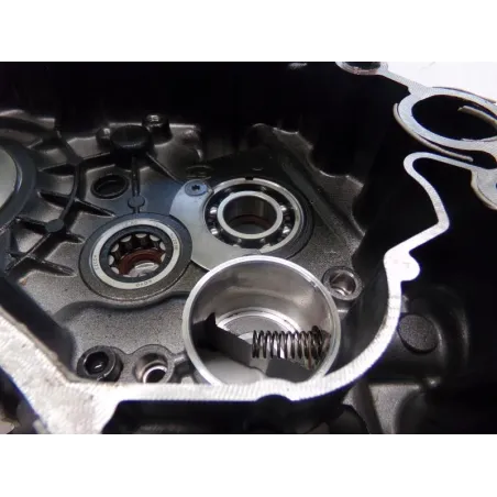 Carter moteur DUCATI SCRAMBLER 800 2019-2020 CAFE RACER