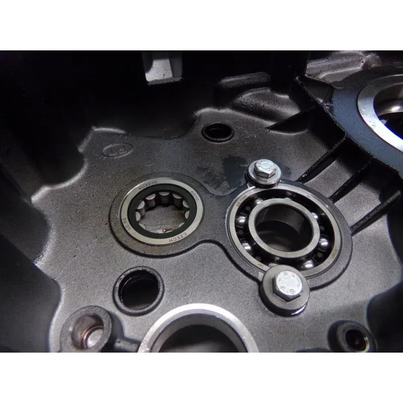 Carter moteur DUCATI SCRAMBLER 800 2019-2020 CAFE RACER