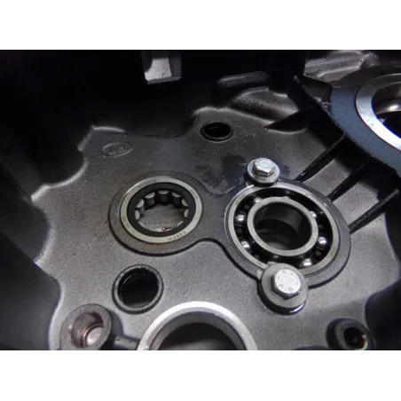 Carter moteur DUCATI SCRAMBLER 800 2019-2020 CAFE RACER