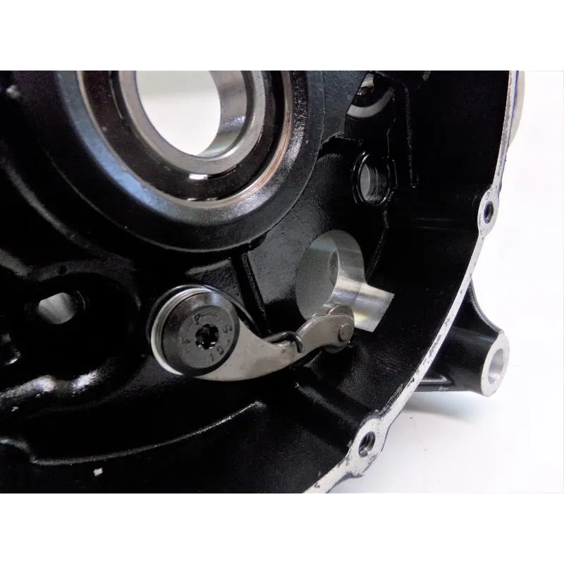Carter moteur DUCATI SCRAMBLER 800 2019-2020 CAFE RACER