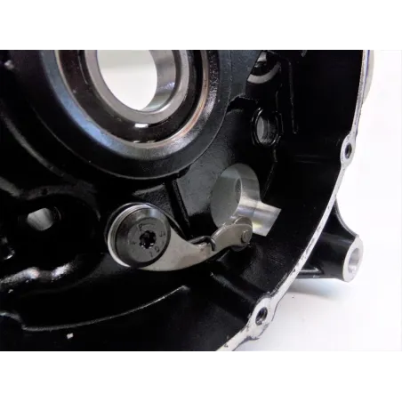 Carter moteur DUCATI SCRAMBLER 800 2019-2020 CAFE RACER