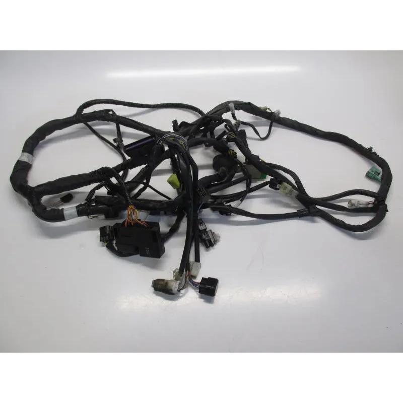 Faisceau electrique SUZUKI AN 400 2007-2010 BURGMAN
