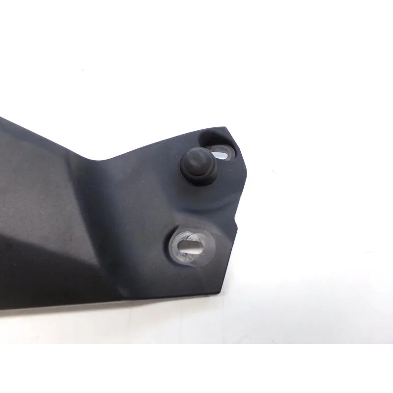 Cache lateral gauche BMW R 1250 GS 2018-2023