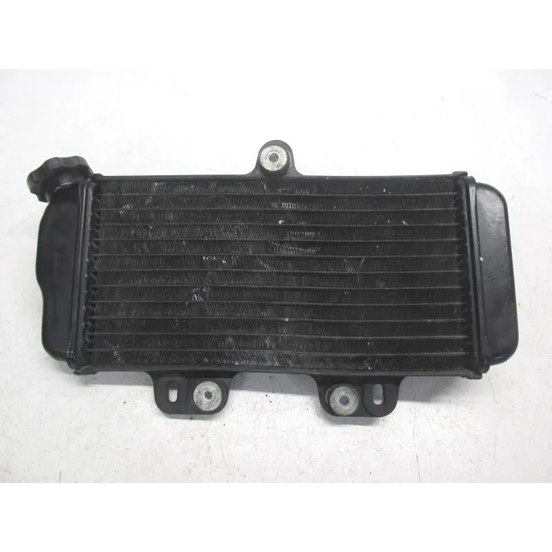 Radiateur eau YAMAHA TDR 125 1997-2003