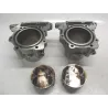 Piston cylindre APRILIA RSV 1000 2002-2005 TUONO R Piston cylindre APRILIA RSV 1000 2002-2005 TUONO R